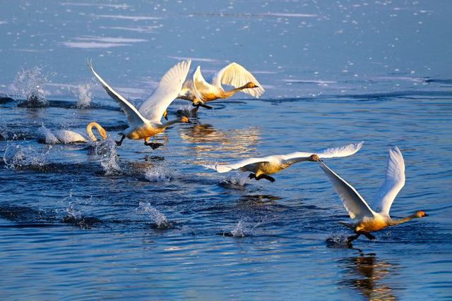 KakaoTalk_20251111_103109584