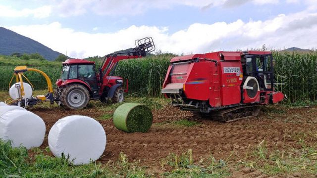 1. 임실군, 하계조사료 수확 농작업 대행 완료