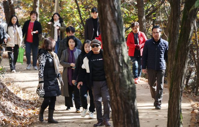 20251117-용운동 성동산 맨발길 조성3