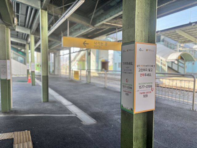 조치원역 생명사랑존 보수1