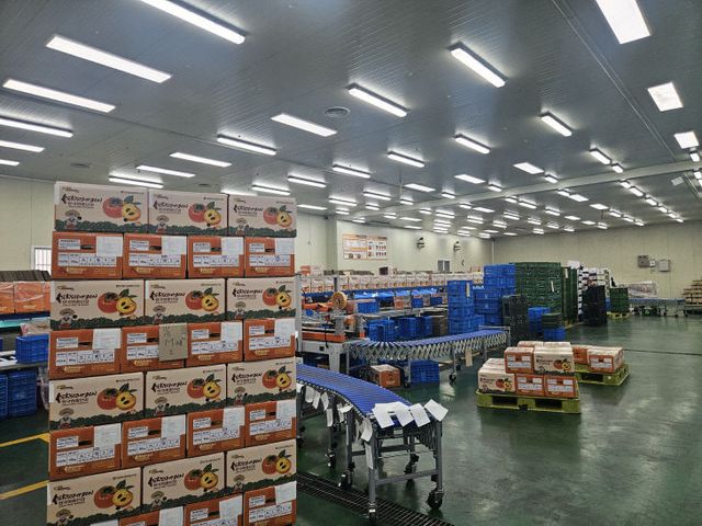 11.17(김해 진영선정)1