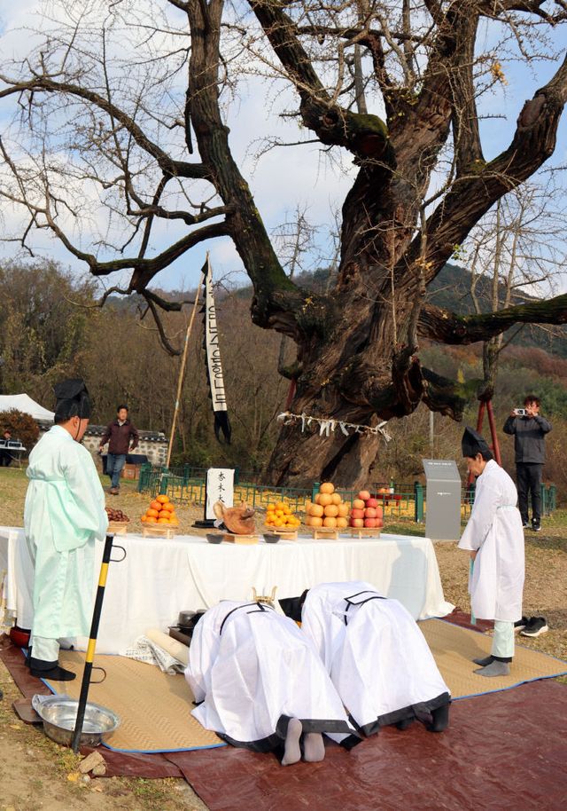 KakaoTalk_20251120_160212729_01