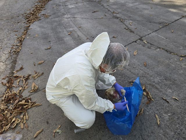 사진1－1(시료채취)