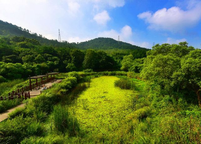 자료사진(람사르습지도시_운곡습지)