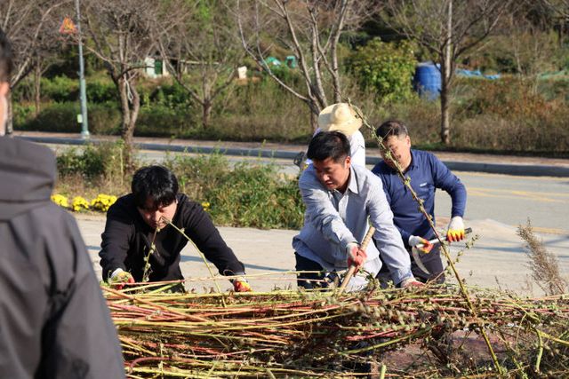 보도자료%20사진(케나프%20수확) (1)