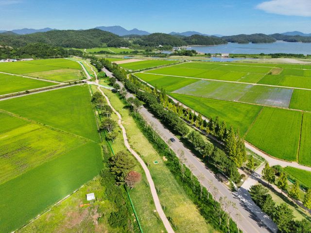 3.진교 파크골프장(1 2구장)-1