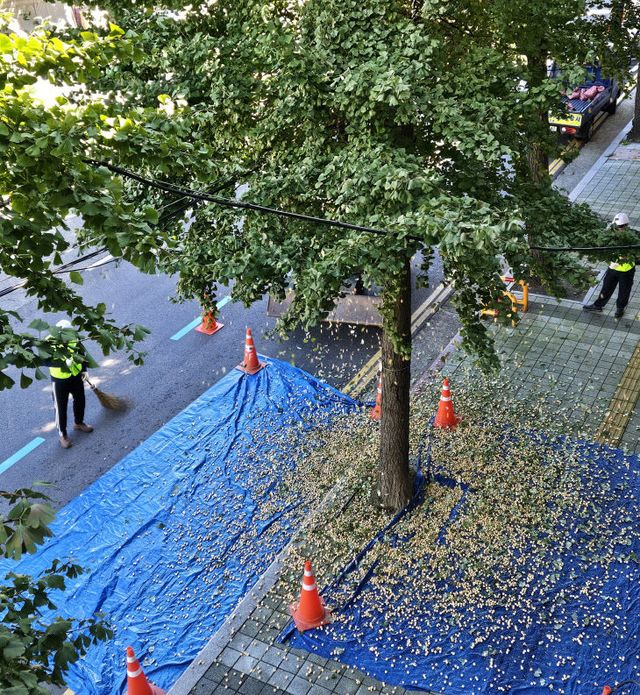 1. 공원녹지과-2