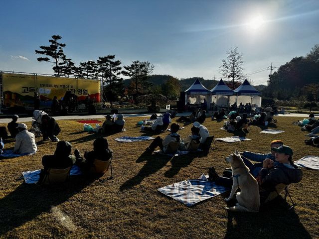 2-2 펫페스티벌