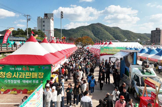 에 막내려[사과판매장])