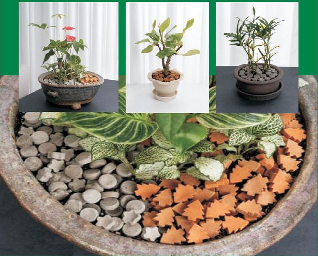 감귤박으로 만든 토양개량제