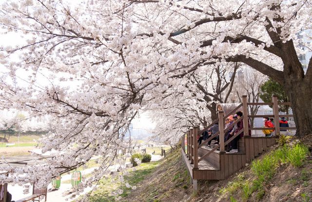 [기획]의정부시, 우리동네 정책로드맵 ‘호원1동편’ 중랑천변
