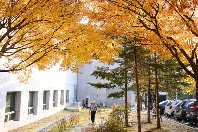 251107_[포토] “가을빛으로 물든 양주시청 단풍길” (3)