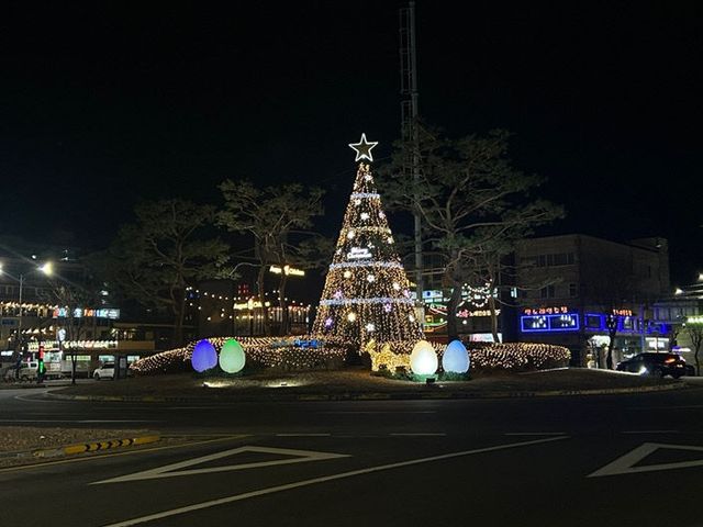 로터리 대형트리 사진