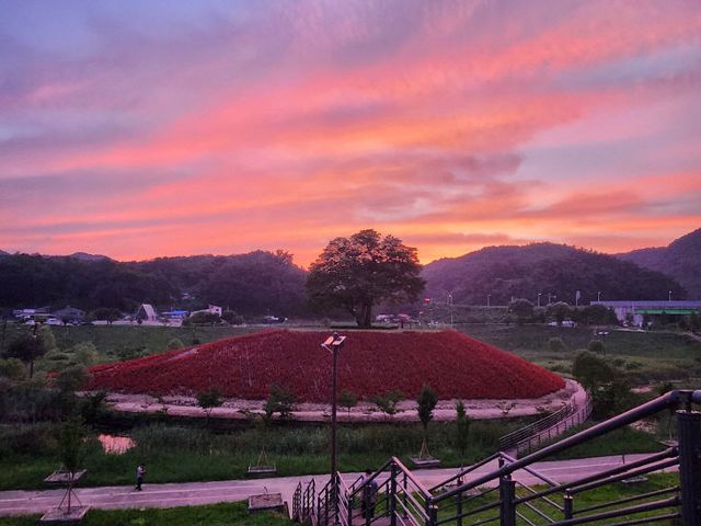 1-2청령포원 개원