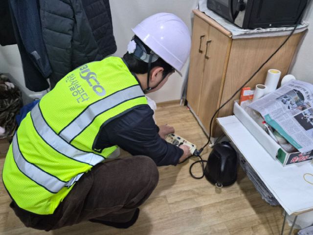 ▲ 사진설명 = 겨울철 화검 (1)