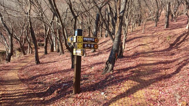 사천시, 향교숲길 조성 완료 (2)