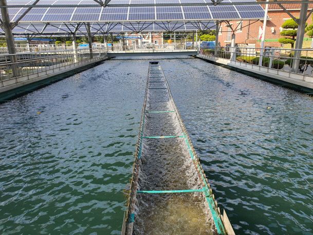 수면파동설비 현장