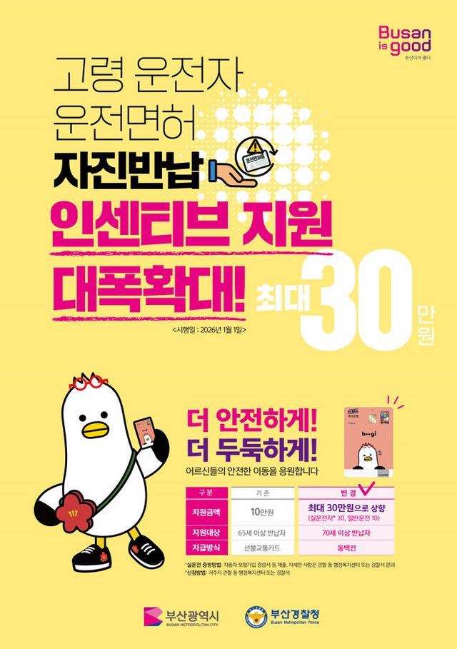 고령자 운전면허 자진스터