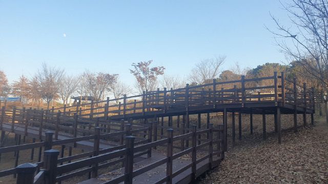 6 이천시 진암공원 산림복지 도시숲 무장애 환경조성사업 준공