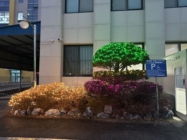 하점면, 반짝이는 경관조명으로 연말연시 맞이