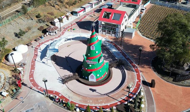 2025 분천산타마을 산타트리