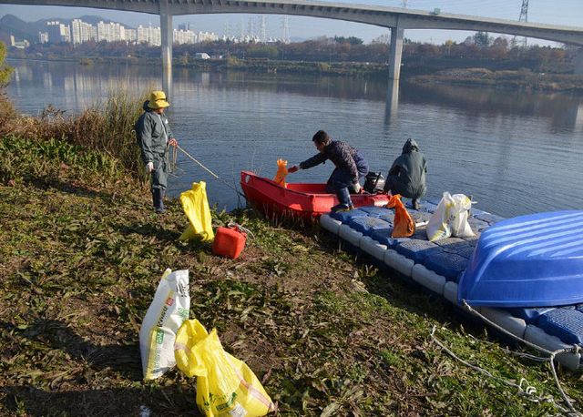 철새 먹이주기 활동 모습
