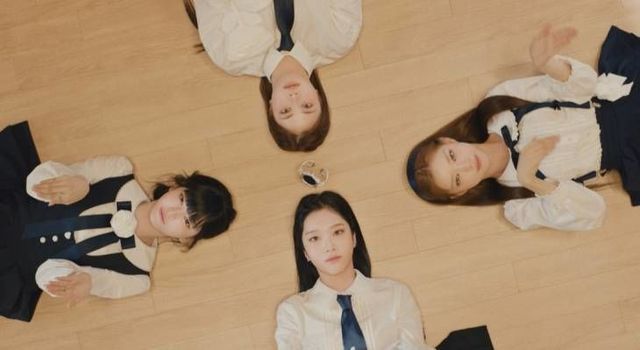 코스모시 사진(1)