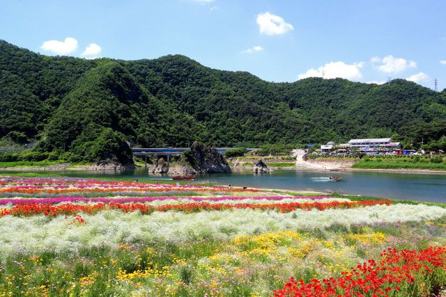 보도 1) 도담정원