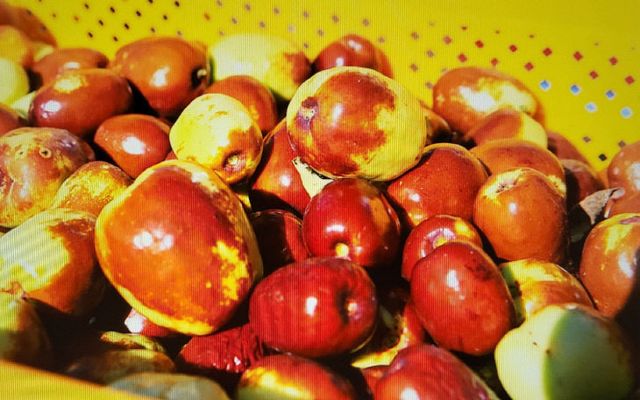 KakaoTalk_20250210_085441176