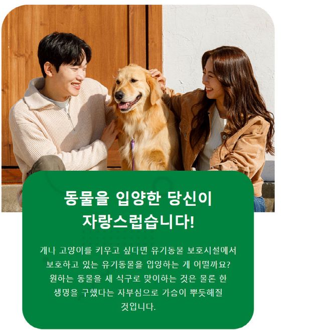 2.11(김해시 유기동물 입양비 지원)1