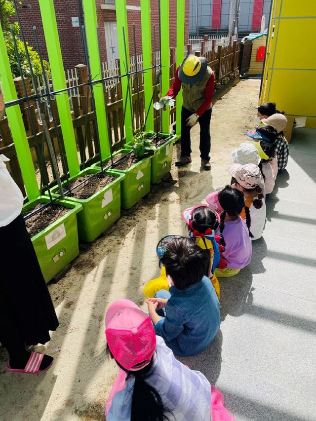 거제시, 2025년 상자텃밭 보급사업 대상기관 모집