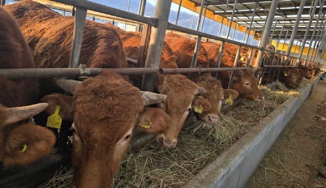 6-1. 저탄소 축산분야 시범사업