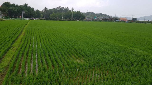 친환경단지-완도 군외면