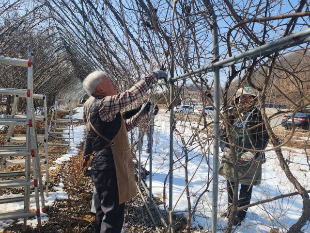 3-2 정원관리사 자원봉사