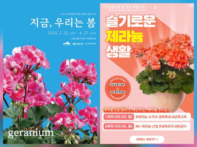 KakaoTalk_20250219_175947967