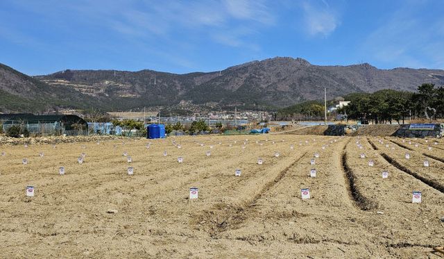 2025년 거제시 도시민 주말농장 참여자 선착순 모집