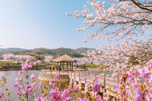 사본 -(사진3)면천면 골정지