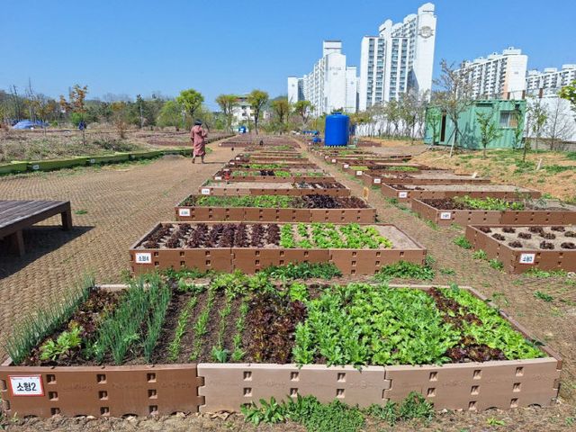 3. ‘생활 속 친환경 도시농업’ 부평구, 공영텃밭 분양 개시