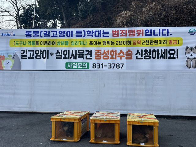 사천시, 관광지 중심 길고양이 집중 중성화 수술
