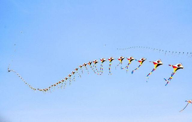 줄포 전국 민속 연날리기 대회 성황리 개최 (5)