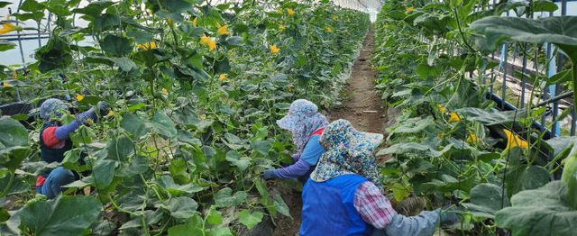 3. 음성군, ‘일손지원 기동대’ 이달 25일부터 본격 운영
