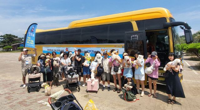 2. 봄철 태안 댕댕버스 운영 1