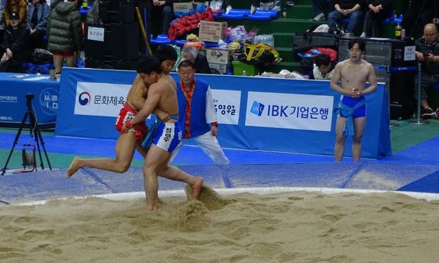 2025031701001176600046902