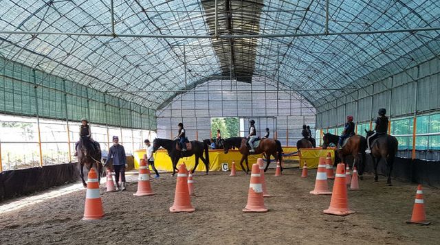 3.17(김해시 학생승마체험 참가자 527명 모집)