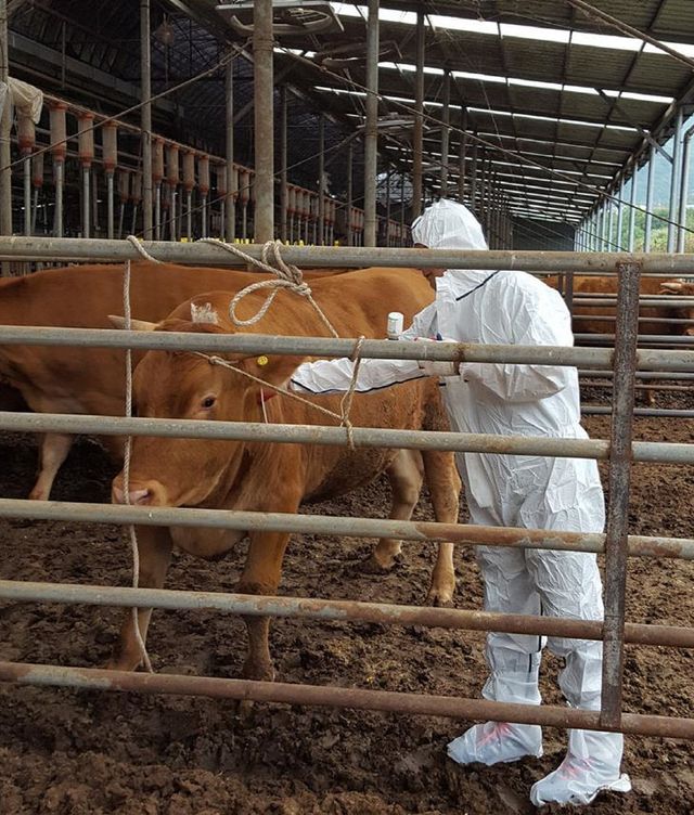 대구시 백신접종