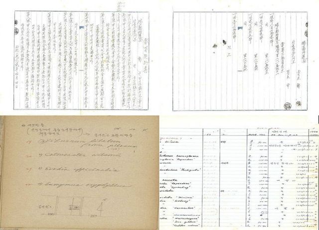 PYH2025031801990000500_P4