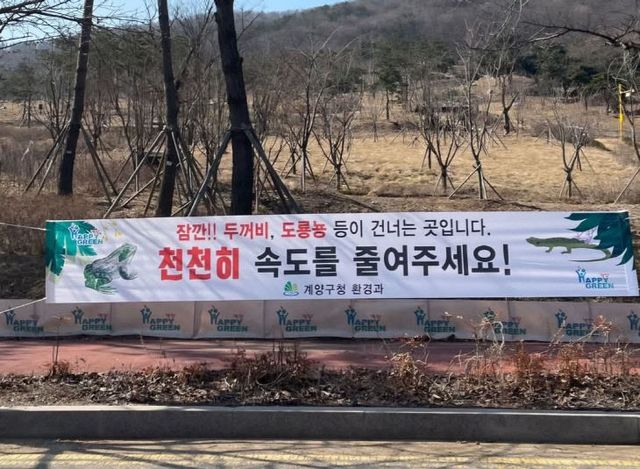 0318 계양구, 두꺼비 로드킬 STOP, 우리가 지킨다! (3)