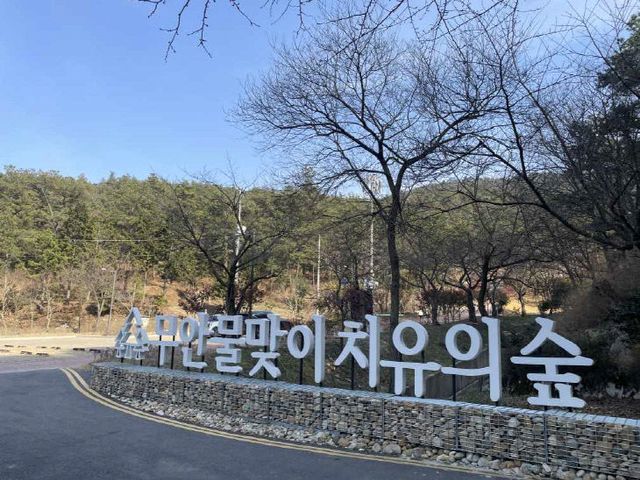 붙임2 붙임2 무안 물맞이 치유의 숲 전경 사진(2)