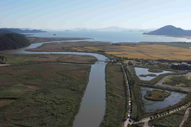 드론영상 제작- 순천만습지