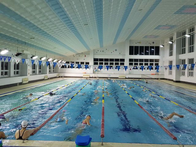 수영장 사진